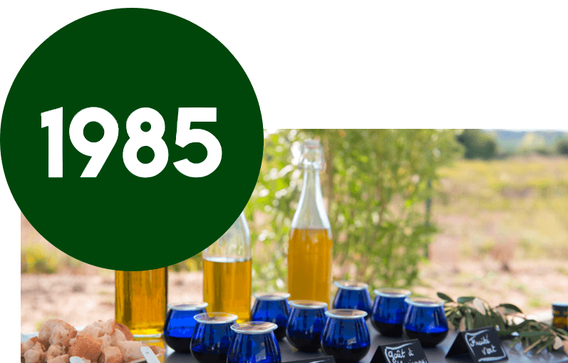 1985 - Cauvin Oil